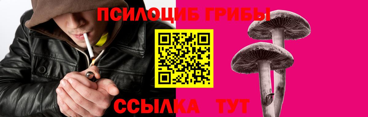 Галлюциногенные грибы ЛСД  Псилоцибиновые грибы мухоморы  Вход с VPN  Дмитров 